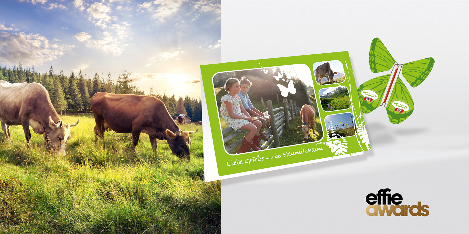 Links im Bild sind zwei Kühe auf einer Weide zu sehen, die Gras fressen. Rechts daneben ist eine grün gestaltete Postkarte mit der Fotografie einer Kuhweide abgebildet. Auf einem angrenzendem Holz Zaun sitzen lächelnd ein Mädchen und ein Junge.