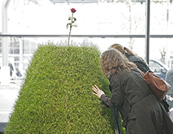 Frauen riechen an einer Grasskulptur
