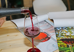 Rotwein wird in Rotweinglas gegossen